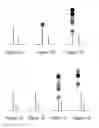 Fig. 02 - MULTIVALENT PROBES HAVING SINGLE NUCLEOTIDE RESOLUTION