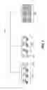 Fig. 07 - Flexible substrates for nucleic acid synthesis