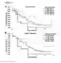 Fig. 06 - LYMPHOMA PROGNOSTIC METHODS AND KITS