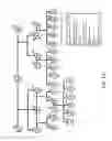 Fig. 02 - Method or kit for determining lung cancer development