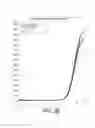Fig. 05 - Direct amplification and detection of viral and bacterial pathogens