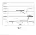 Fig. 11 - Direct amplification and detection of viral and bacterial pathogens