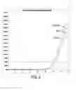 Fig. 12 - Direct amplification and detection of viral and bacterial pathogens
