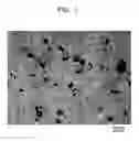 Fig. 02 - Sintered alloy and manufacturing method thereof
