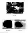 Fig. 13 - Method of preparing doped and/or composite carbon fibers