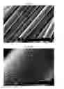 Fig. 06 - Carbon fiber and method for producing same
