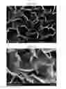 Fig. 07 - Carbon fiber and method for producing same