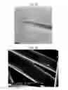 Fig. 09 - Carbon fiber and method for producing same