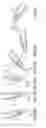 Fig. 20 - Implement tooth assembly with tip and adapter