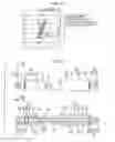 Fig. 04 - BRACE MEMBER