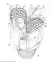 Fig. 01 - HYBRID BIT WITH ROLLER CONES AND DISCS