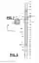 Fig. 07 - Relockable shearing swivel tool apparatus and method
