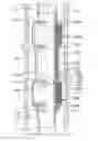 Fig. 01 - WELLBORE PACKER, METHOD AND TUBING STRING