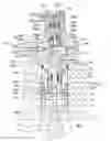 Fig. 01 - Pump