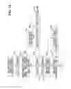 Fig. 13 - Device for controlling high-pressure pump
