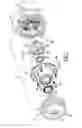 Fig. 08 - Bogie axle assembly
