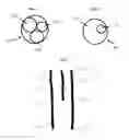 Fig. 04 - Fuel Dispenser Blending Hose