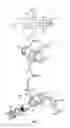 Fig. 04 - Low-Leak Hydraulic Connectors