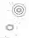 Fig. 07 - Fiber-optic conversion module