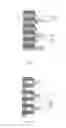 Fig. 05 - Arrow tail lamp