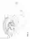 Fig. 04 - Inner swirling flame gas burner
