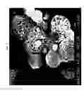 Fig. 06 - Compositions and methods for atmospheric spray freeze drying