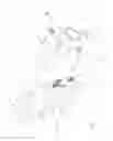 Fig. 03 - Ambidextrously Operable Firearm Receiver Assembly