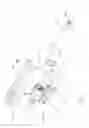 Fig. 05 - Ambidextrously Operable Firearm Receiver Assembly