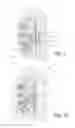 Fig. 03 - Illuminated aiming devices and related methods
