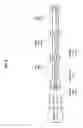 Fig. 09 - Optical system accessory with cant indication
