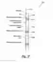 Fig. 16 - Method and apparatus for optical sensing