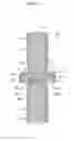 Fig. 17 - STRAIN SENSOR AND LOAD DETECTOR USING SAME