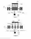 Fig. 02 - Semi-flexible proof-mass