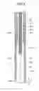 Fig. 05 - Measurement probe and optical measurement system