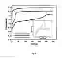 Fig. 10 - An Improved Next Generation Off-Laboratory Polymer Chip Electrode