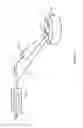 Fig. 02 - Digital patch-clamp amplifier