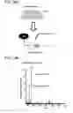 Fig. 57 - Sample dispenser including an internal standard and methods of use thereof