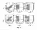 Fig. 06 - Assay for detecting Th1 and Th2 cell populations