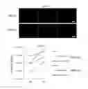 Fig. 08 - Methods of propagating rhinovirus C in previously unsusceptible cell lines