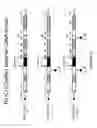 Fig. 16 - Methods of propagating rhinovirus C in previously unsusceptible cell lines