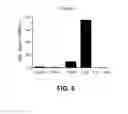 Fig. 07 - Methods for Inhibiting Epithelial to Mesenchymal Transition by Inhibition of FOXS1