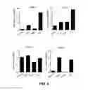 Fig. 09 - Methods for Inhibiting Epithelial to Mesenchymal Transition by Inhibition of FOXS1