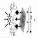 Fig. 02 - Nanomaterial-based photothermal immunosensing for quantitative detection of disease biomarkers