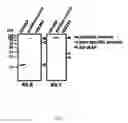 Fig. 02 - Methods for diagnosing and treating infection