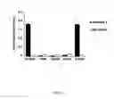 Fig. 07 - Methods for diagnosing and treating infection