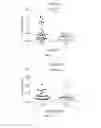 Fig. 02 - Methods of diagnosing and treating tuberculosis