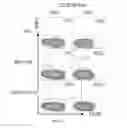 Fig. 03 - Methods of diagnosing and treating tuberculosis