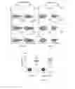 Fig. 04 - Methods of diagnosing and treating tuberculosis