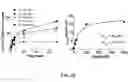 Fig. 15 - Methods for identifying compounds as modulators of SLC38A9 interactions
