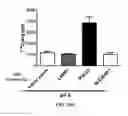 Fig. 31 - Methods for identifying compounds as modulators of SLC38A9 interactions